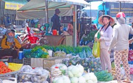 Vĩnh Long: Phân cấp thẩm quyền định giá cụ thể dịch vụ sử dụng diện tích bán hàng tại chợ được đầu tư từ nguồn vốn nhà nước